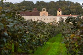 Abbaye de Sorde en fond du champ de Kiwis