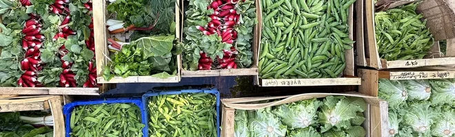 Agriculture
