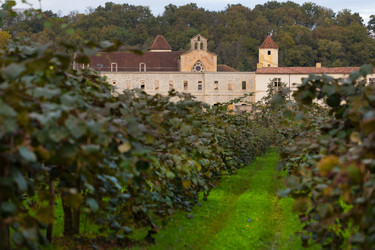 Vue sur l'abbaye depuis depuis l'île aux kiwis