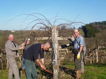 Les ateliers solidaires - Agri Renfort